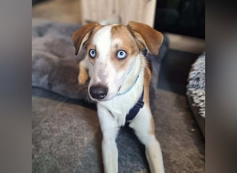 Khany - ist anhänglich&verschmust