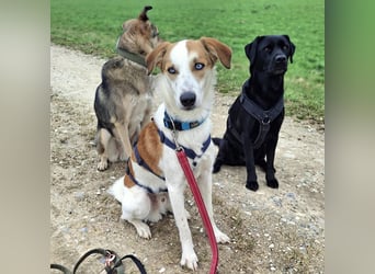 Khany - braucht Geduld&positive Bestärkung