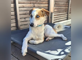 Khany - braucht Geduld&positive Bestärkung