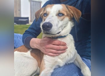 Khany - braucht Geduld&positive Bestärkung