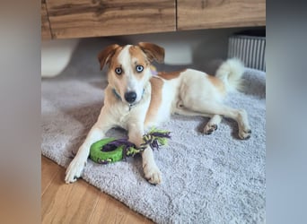 Khany - braucht Geduld&positive Bestärkung