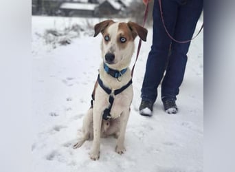 Khany - ist anhänglich&verschmust