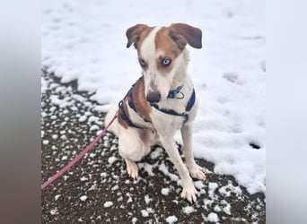 Khany - ist anhänglich&verschmust