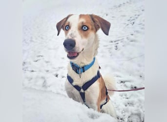 Khany - ist anhänglich&verschmust