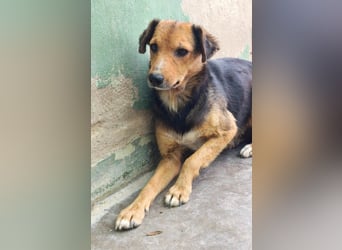 ❤️ NICA ❤️