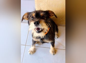 ❤️VENETA❤️