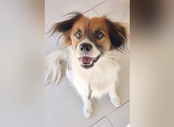 ❤️ PAQUITO ❤️