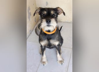 ❤️VENETA❤️
