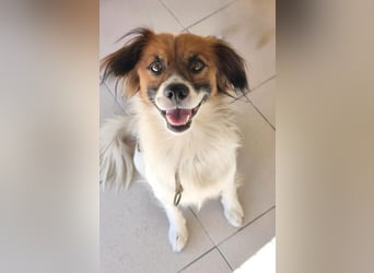 ❤️ PAQUITO ❤️