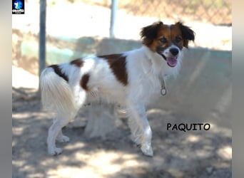 ❤️ PAQUITO ❤️