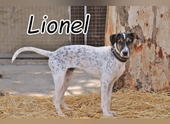 Wer möchte Lionel die Chance auf ein neues Leben schenken?