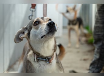 Zaya – eine sanfte Seele sucht ihr Glück ❤️