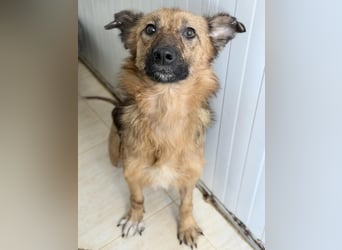 Ora – eine Kämpferin mit drei Beinen und einem riesengroßen Herzen ❤️