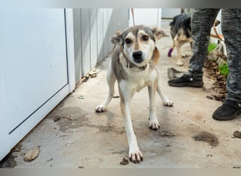 Zaya – eine sanfte Seele sucht ihr Glück ❤️