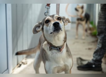 Zaya – eine sanfte Seele sucht ihr Glück ❤️