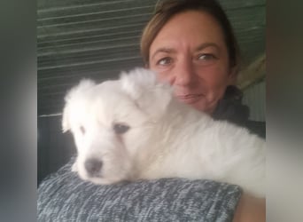 Noah sucht seine Menschen