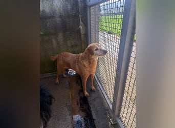 Briciola möchte ankommen