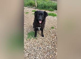 Giada sucht ihr für immer Zuhause