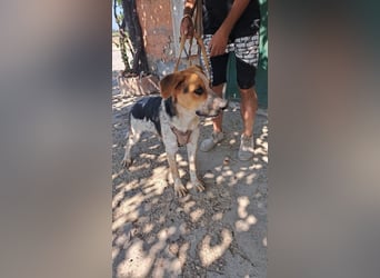 Hermes sucht seine Menschen