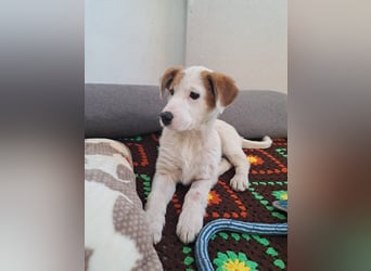 Maddy sucht ihre Herzensmenschen