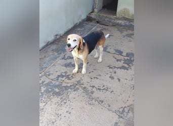 Nina sucht ihre Menschen