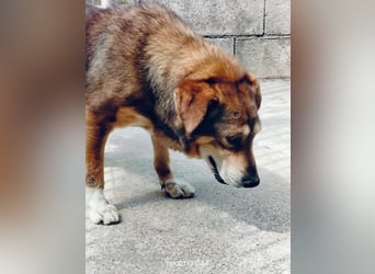 Patone möchte endlich ankommen