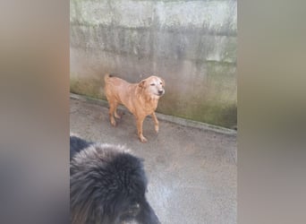 Briciola möchte ankommen