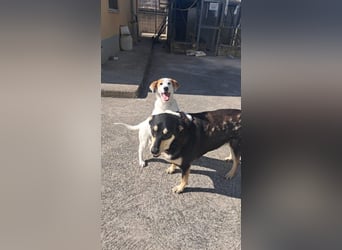 Maddy sucht ihre Herzensmenschen