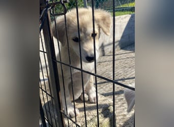 Yulie sucht ihr Glück