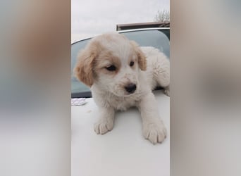 Giada sucht ihre Familie