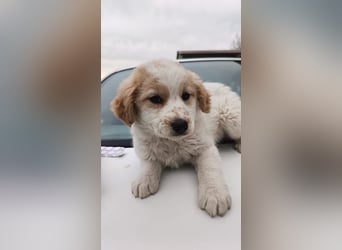 Giada sucht ihre Familie