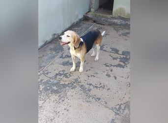Nina sucht ihre Menschen