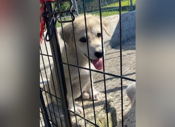 Yulie sucht ihr Glück