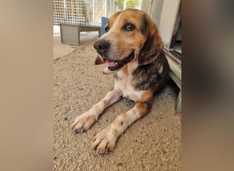 Daniele sucht sein Glück