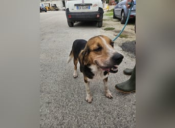 Daniele sucht sein Glück