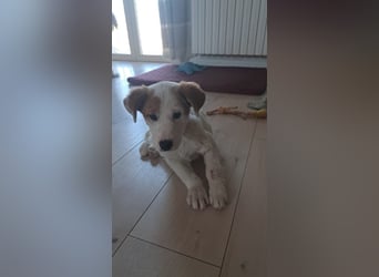Maddy sucht ihre Herzensmenschen