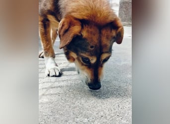 Patone möchte endlich ankommen