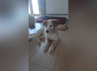 Maddy sucht ihre Herzensmenschen