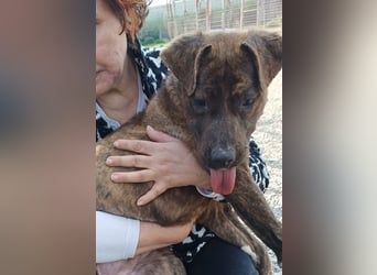 Solange sucht ihre Menschen