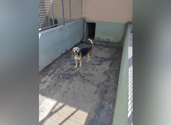 Nina sucht ihre Menschen