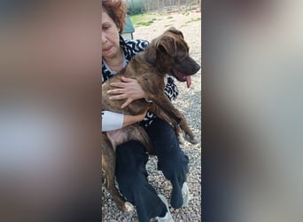 Solange sucht ihre Menschen