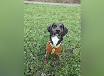 Bim - aktive Knutschkugel sucht ihr Zuhause