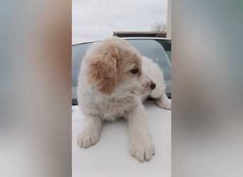 Giada sucht ihre Familie