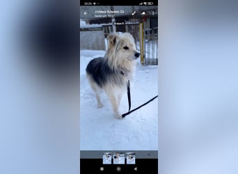 Wally sucht sein Für -immer -Zuhause ❤️❤️❤️❤️