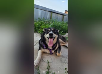 Maya sucht ihr Zuhause fürs Leben! 