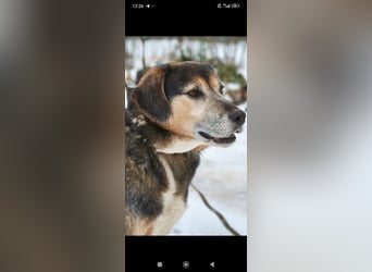 Rem sucht sein Für -immer -Zuhause ❤️