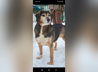 Rem sucht sein Für -immer -Zuhause ❤️