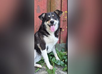 Maya sucht ihr Zuhause fürs Leben! 