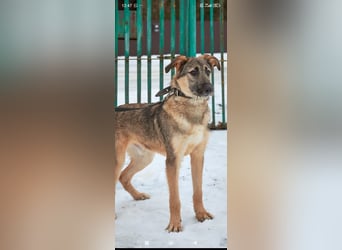 Marcel sucht sein Für -immer -Zuhause ❤️❤️❤️