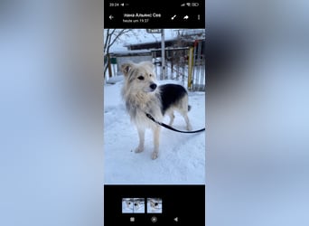 Wally sucht sein Für -immer -Zuhause ❤️❤️❤️❤️